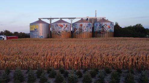Silo Art Bleding In